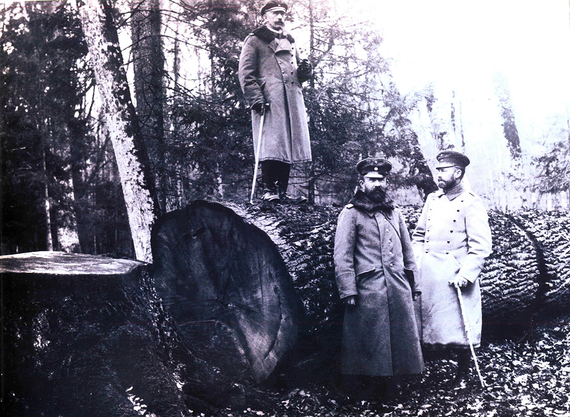 Oficerowie niemieccy przy ściętym dębie w Puszczy Białowieskiej