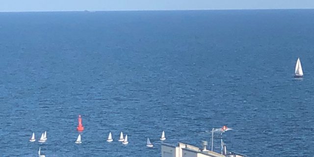 Gdynia. Leto 2019 (Fot. Andrzej Czyżewski)