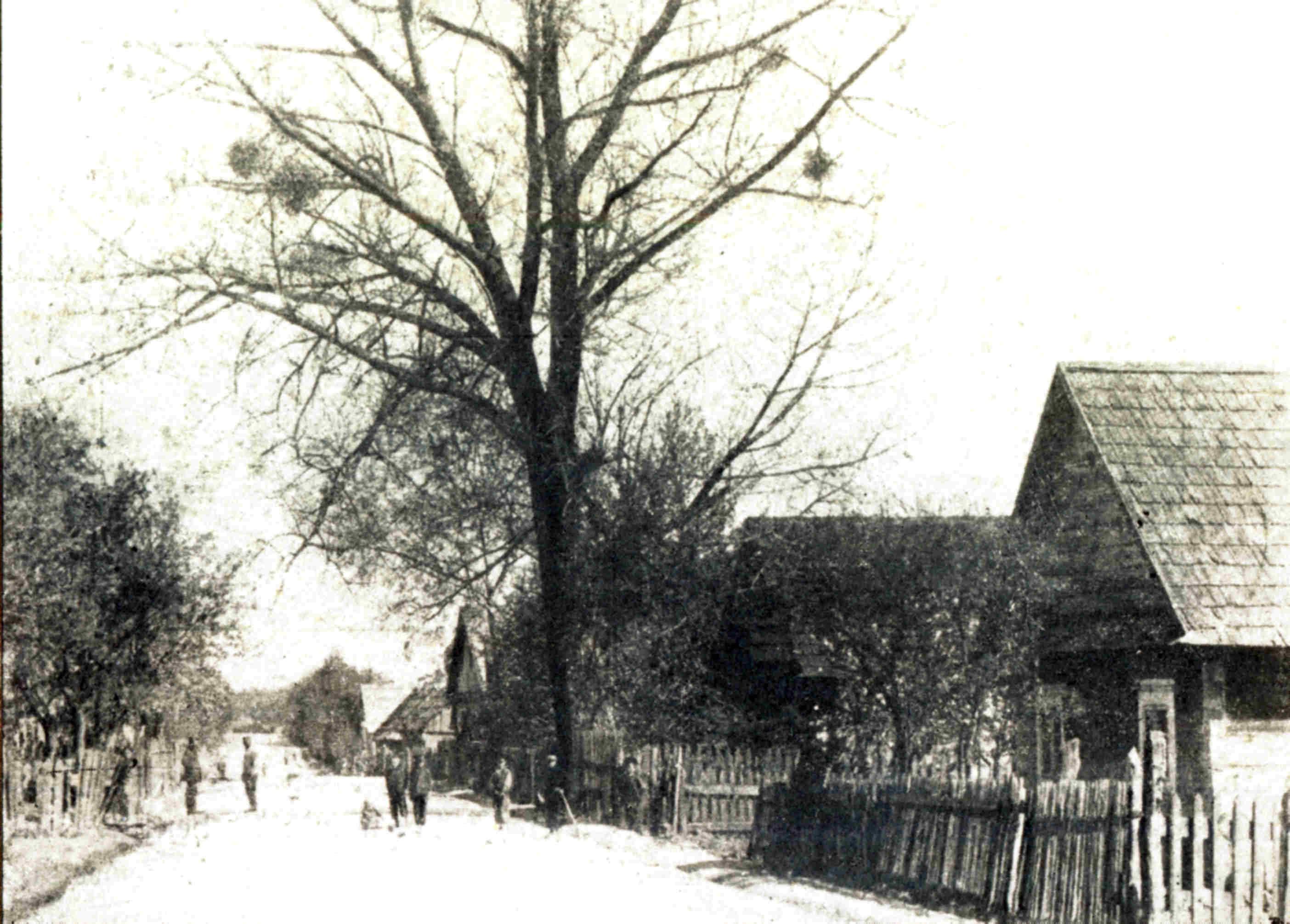 Ulica w niespalonej części Białowieży Zdjęcie archiwalne
