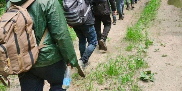 „22 maja do Polski próbowały nielegalnie przedostać się z Białorusi 133 osoby – m.in. obywatele Erytrei, Bangladeszu, Indii i Etiopii” (z komunikatu Straży Granicznej na twitterze) Straż Graniczna / twitter