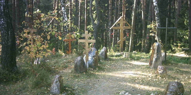 Курапаты Вікіпедыя