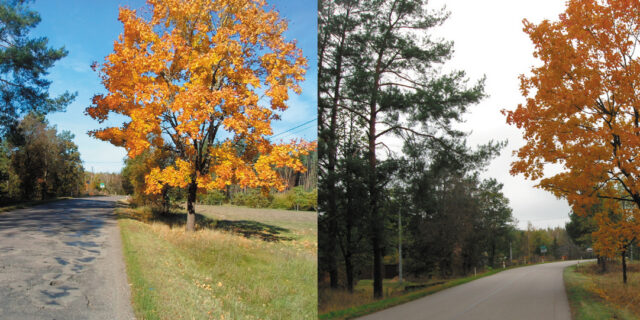 Ta droga na Hajnowszczyźnie (w gminie Narewka) dzięki rządowemu wsparciu została niedawno zmodernizowana. W naszym regionie takich potrzeb jest jeszcze bardzo wiele Fot. Jan Ciełuszecki