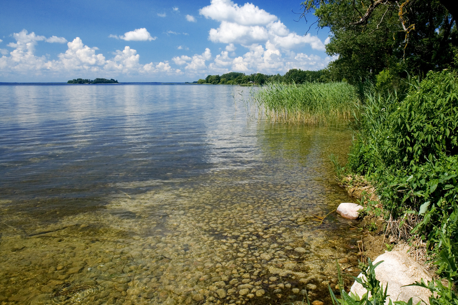 Возера Нарач, 2009 Вікіпедыя