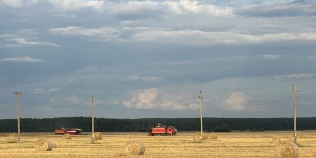 Жніво (Гарадзенская вобласць) Фота Сяргея Александровіча