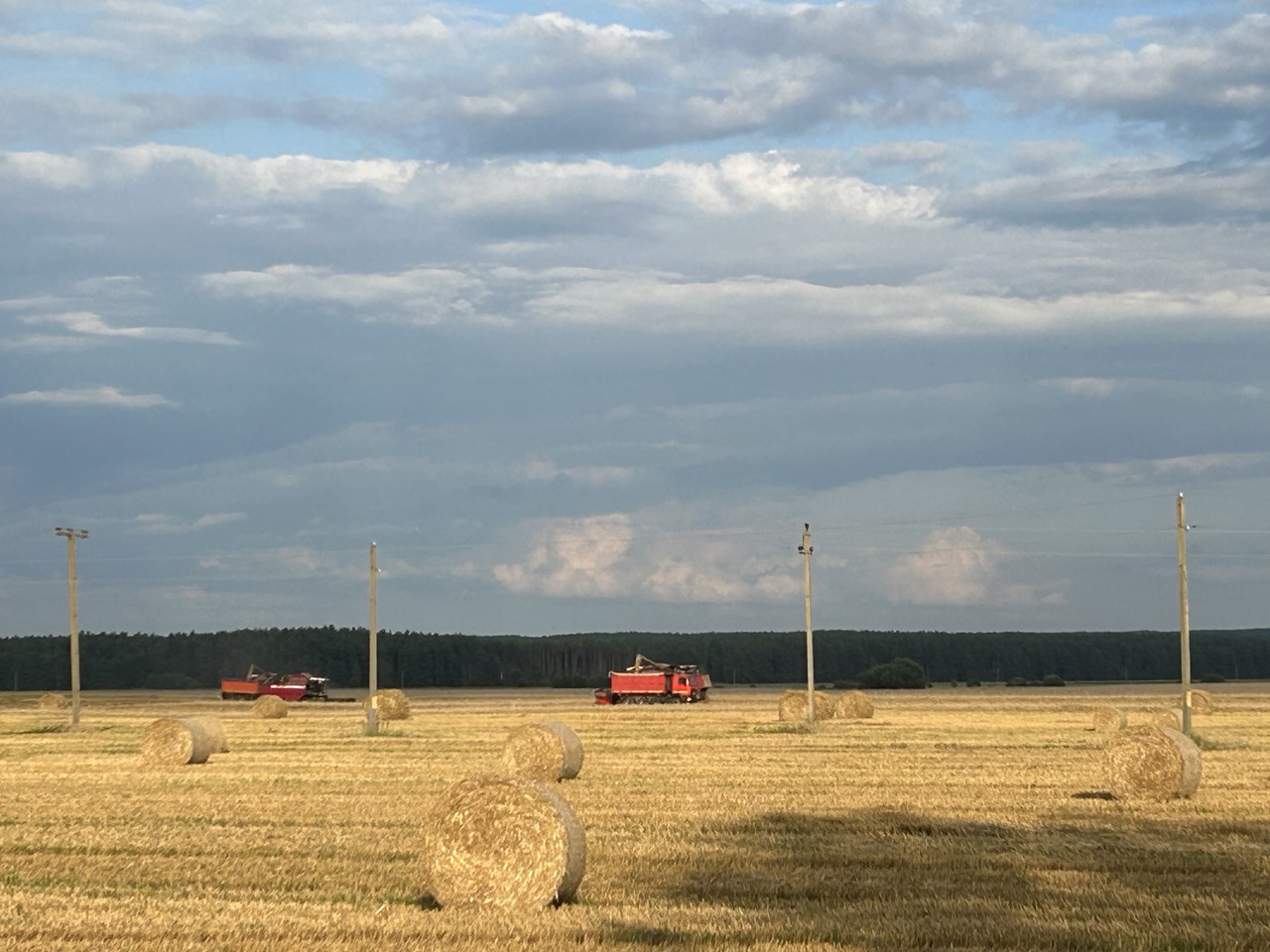 Жніво (Гарадзенская вобласць) Фота Сяргея Александровіча