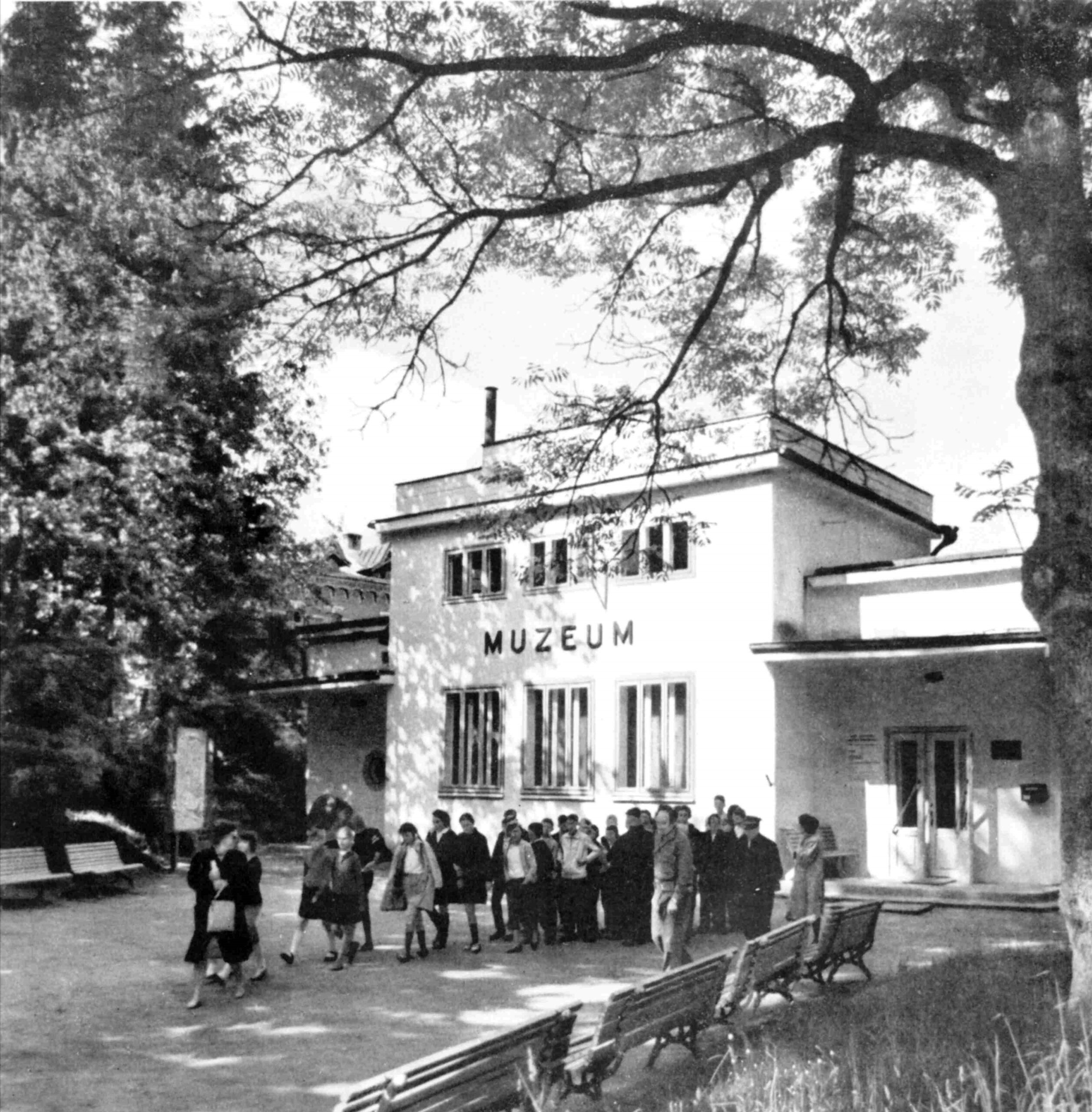 Podczas festynów dużym powodzeniem cieszyło się białowieskie muzeum przyrodnicze. Z archiwum autora.